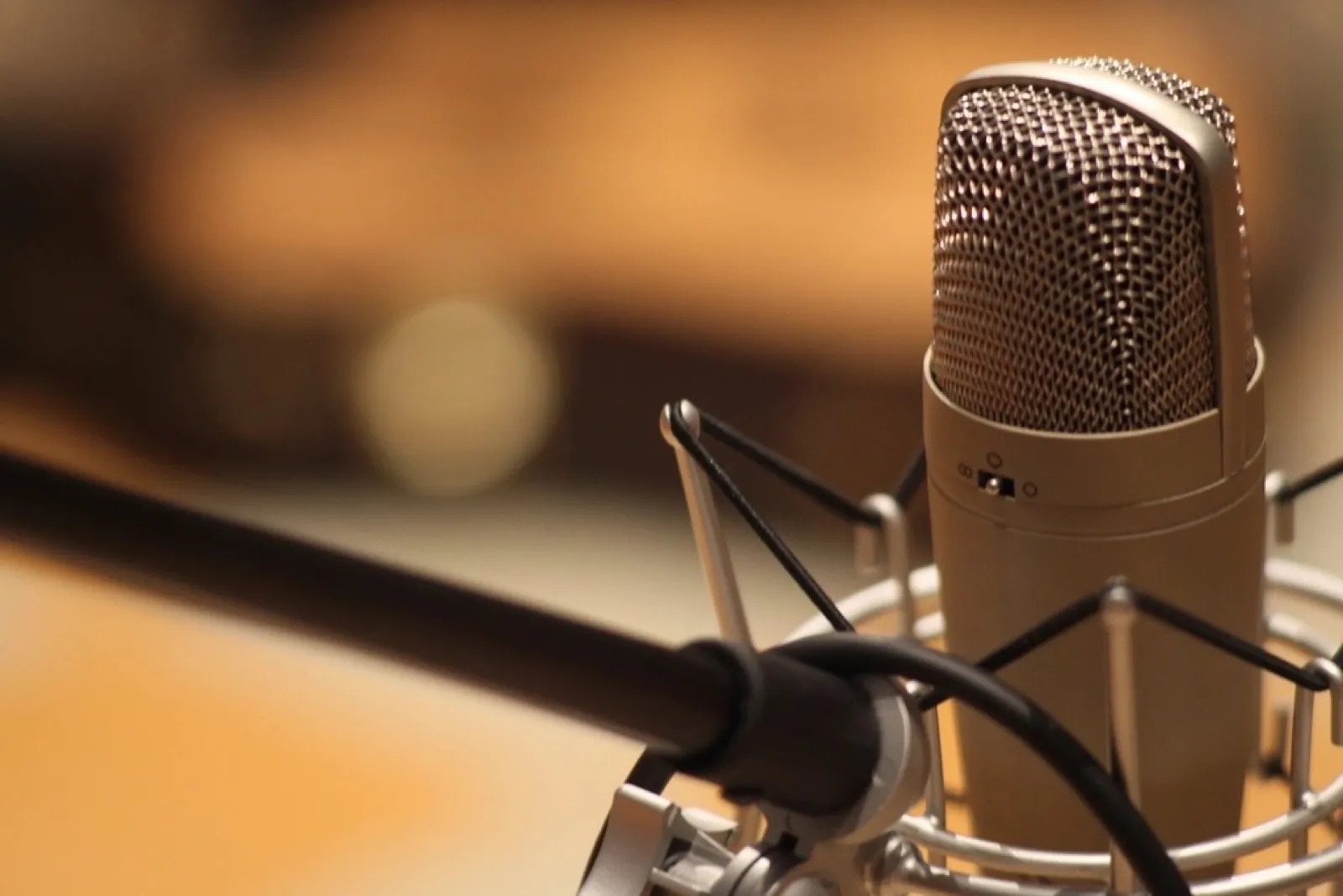 A condenser microphone in a shock mount, ready to record