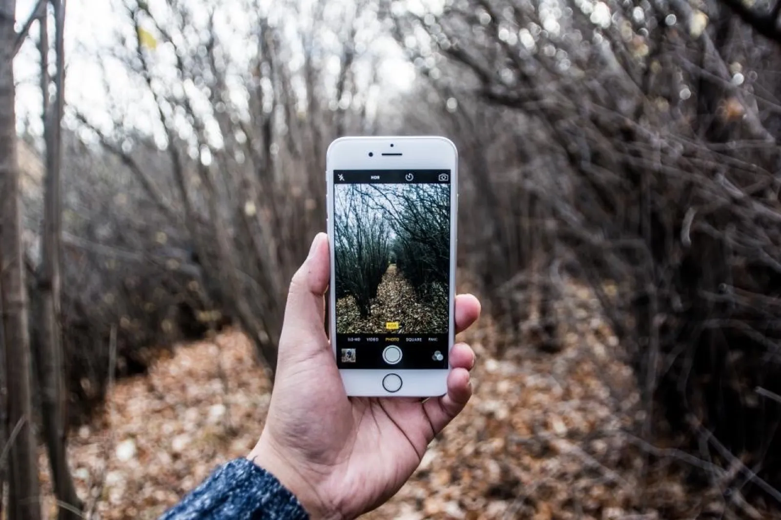 Hand holding a phone recording video