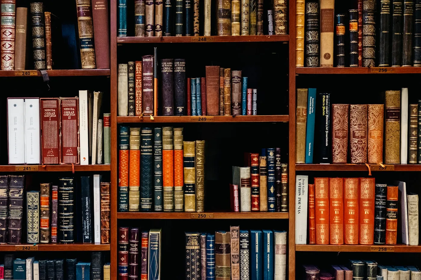 Shelves of organized books